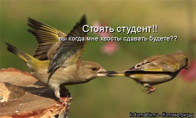 Пока не сдашь - не уйдешь!