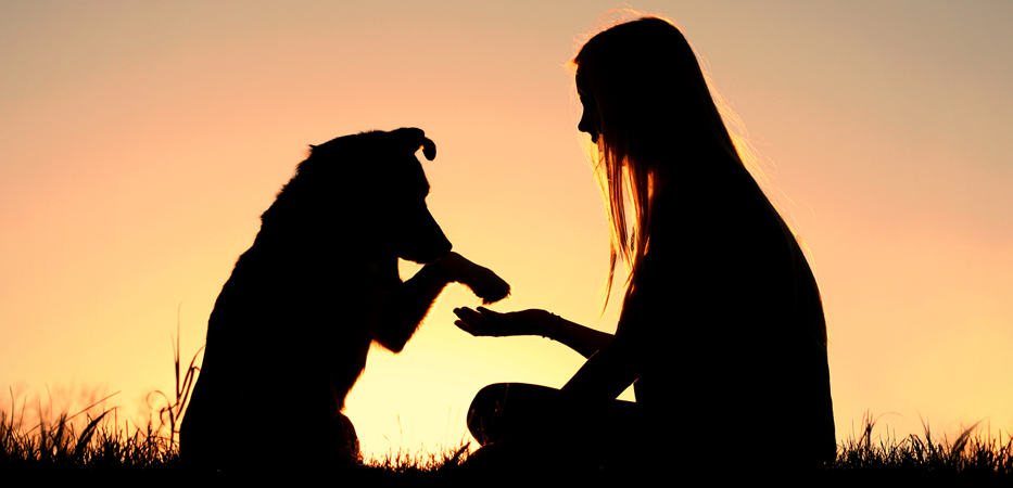 Выражаем искреннее сочувствие