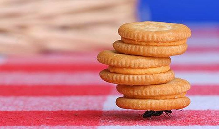 Зачем студентам стараться?