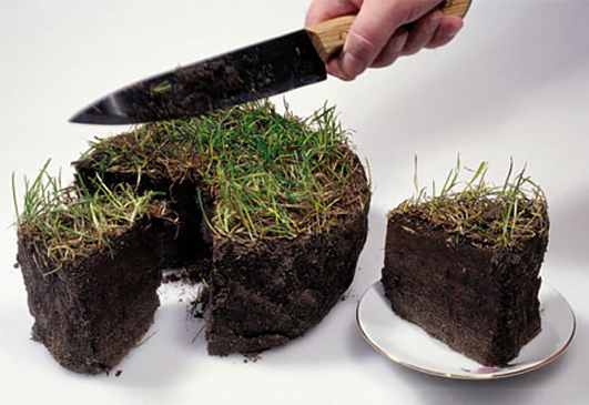 Советы студентам первокурсникам: разбивайте информацию на части