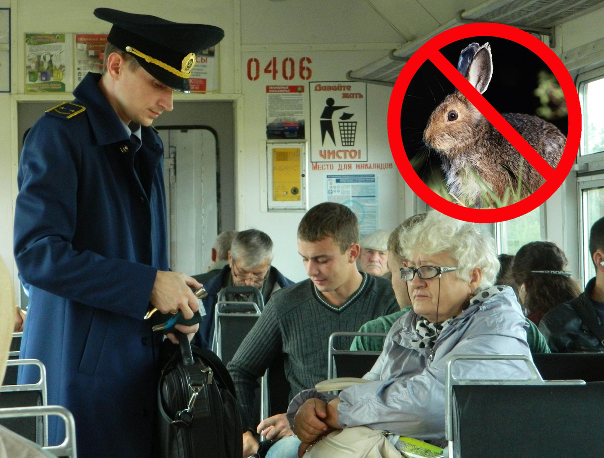 Международная общественность понимает и озабочена проблемами экономики, но от