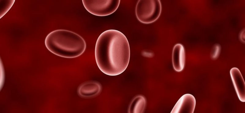 Определение группы крови (биология)