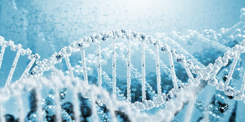 История становления и развития генетики как науки