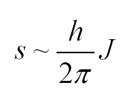 Спин в физике