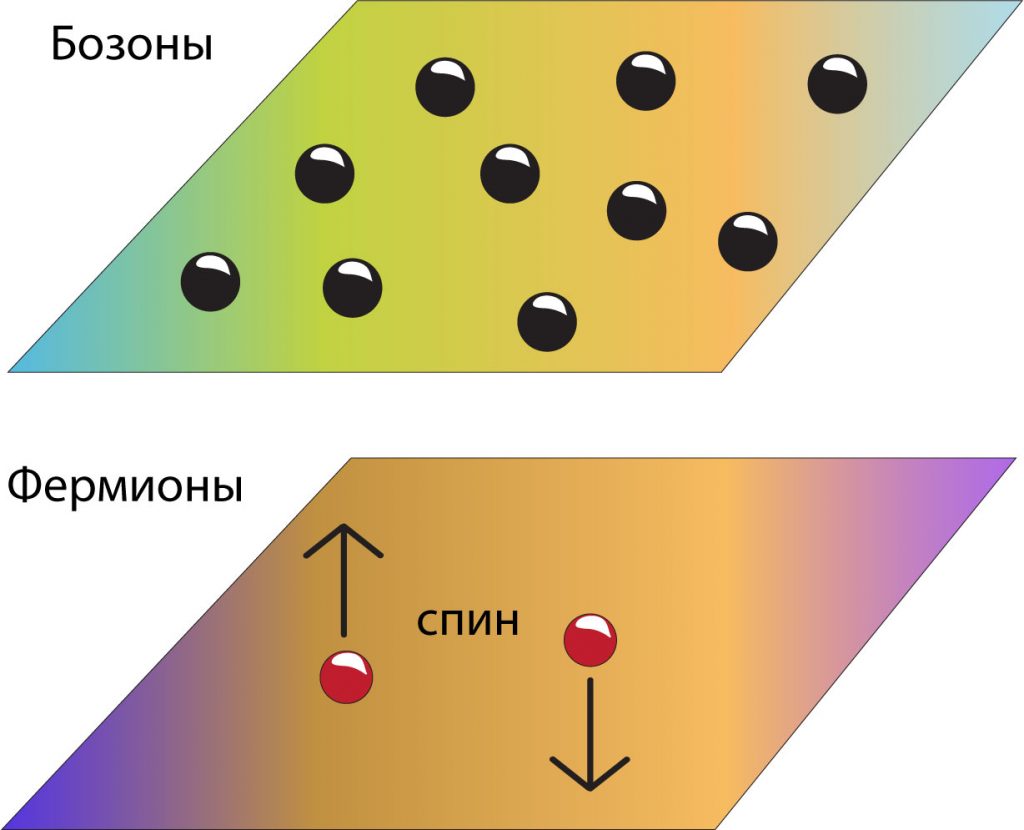 Бозоны и Фермионы