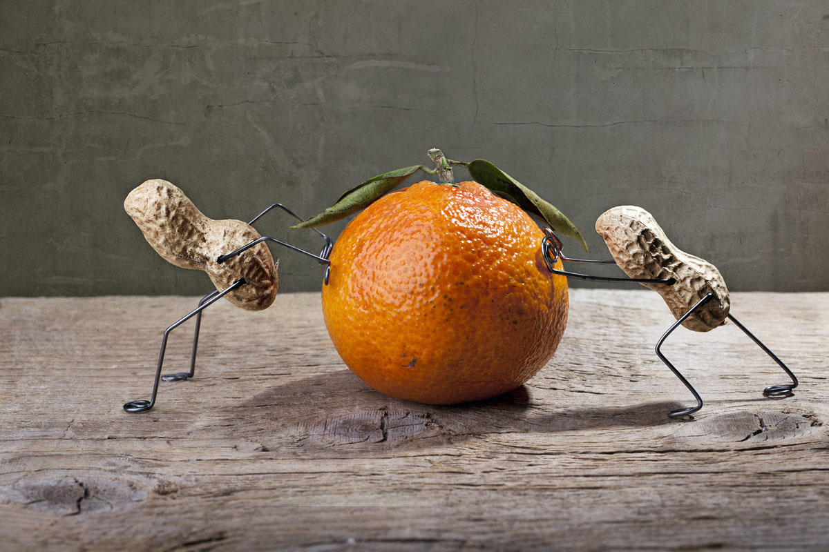 Закон Парето поможет не только в учебе, но и в профессиональной деятельности