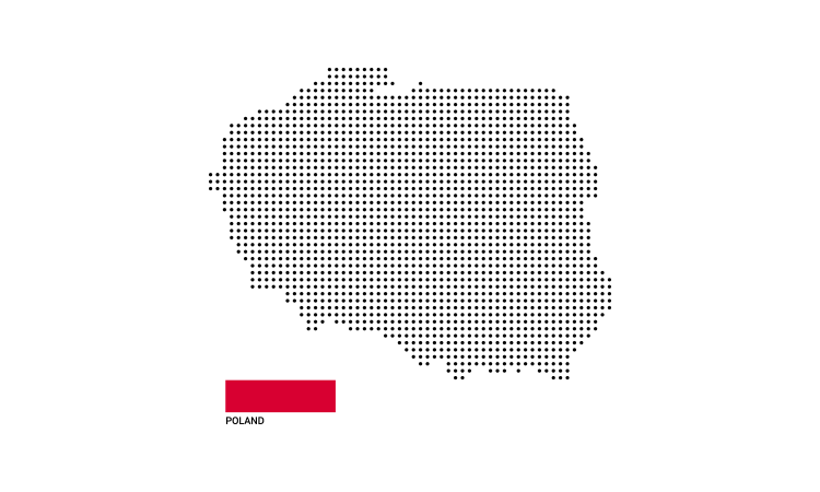 Бакалавриат в Польше: поступление, специфика, особенности обучения
