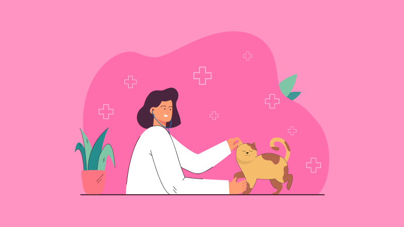 Отчет по практике по ветеринарии: как составить, правильно оформить, структура + пример 2026