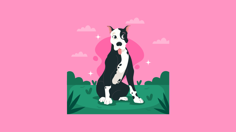 Отчет по практике по кинологии: где проходить практику, как написать отчет