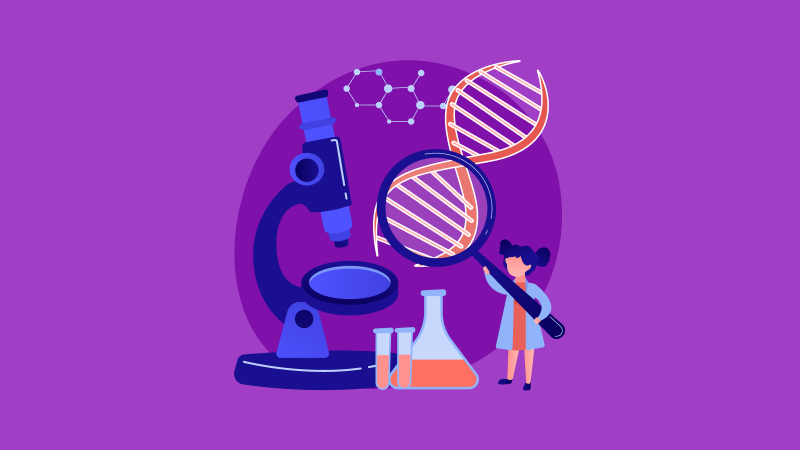 Практическая работа по биологии: как сделать, правильно оформить + пример