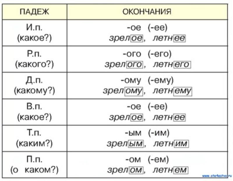 Склонение имен прилагательных среднего рода