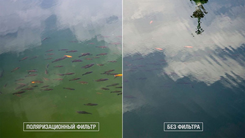Фото, сделанные с применением поляризационного фильтра и без него