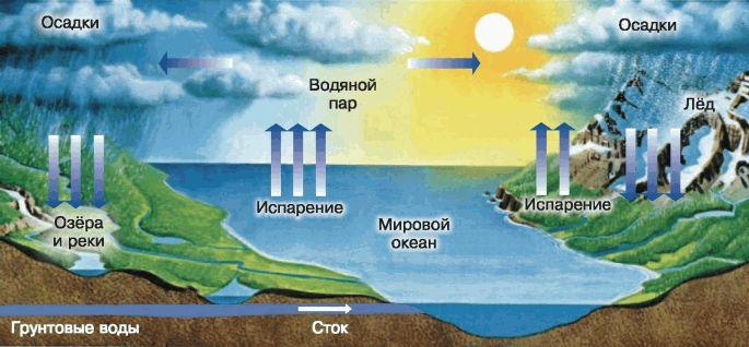 В таком виде происходит круговорот воды