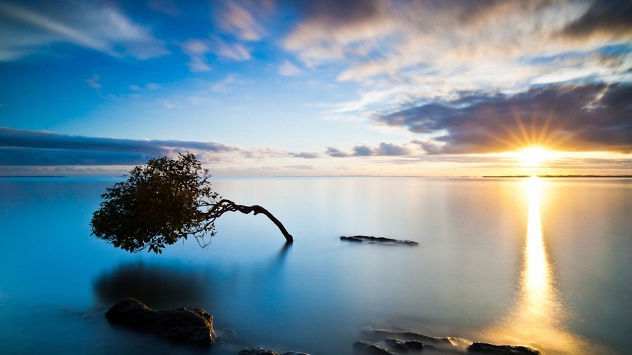Чем меньше слов, тем меньше отвлекающих факторов
