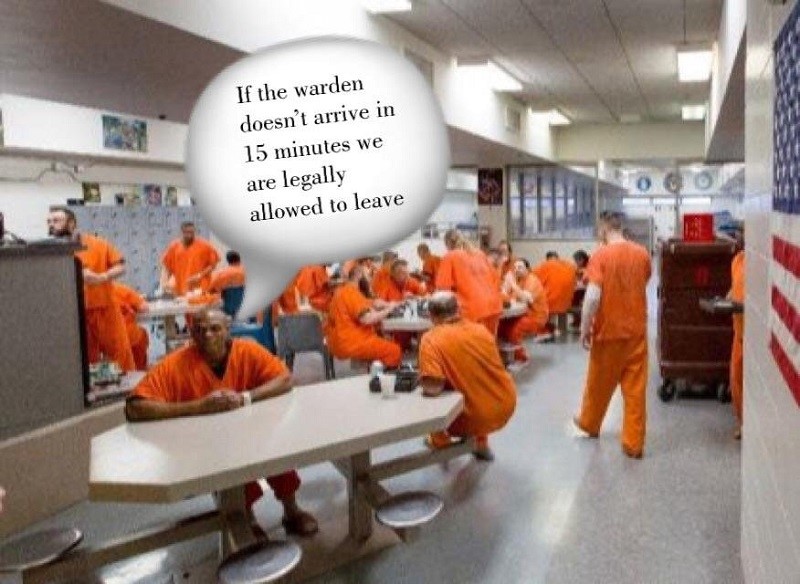 Так что же все-таки делать студенту?