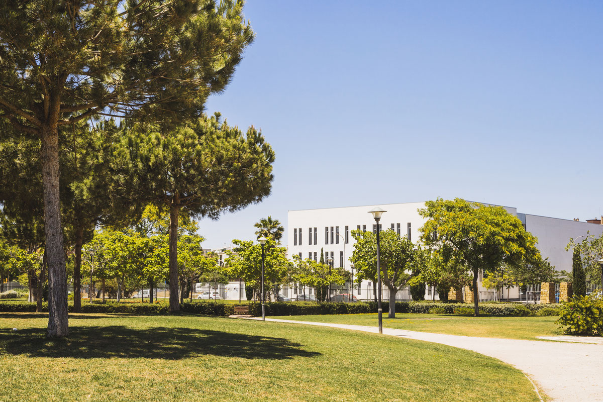 Первый Санкт-Петербургский государственный медицинский университет имени И. П. Павлова