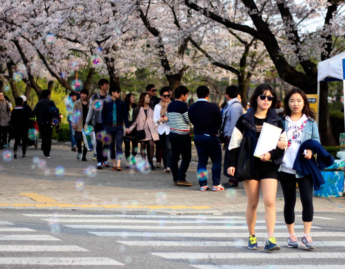 Как поступить в корейский вуз самостоятельно