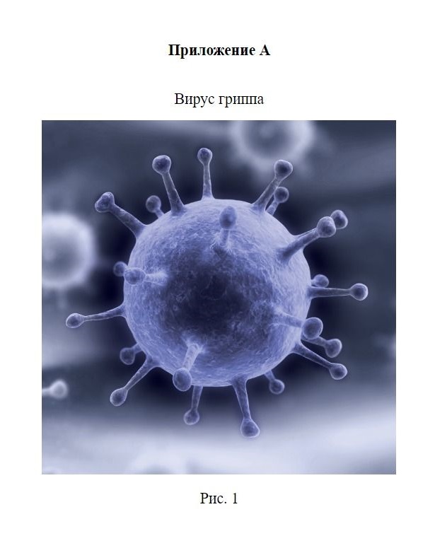 Пример оформления приложения в курсовой работе