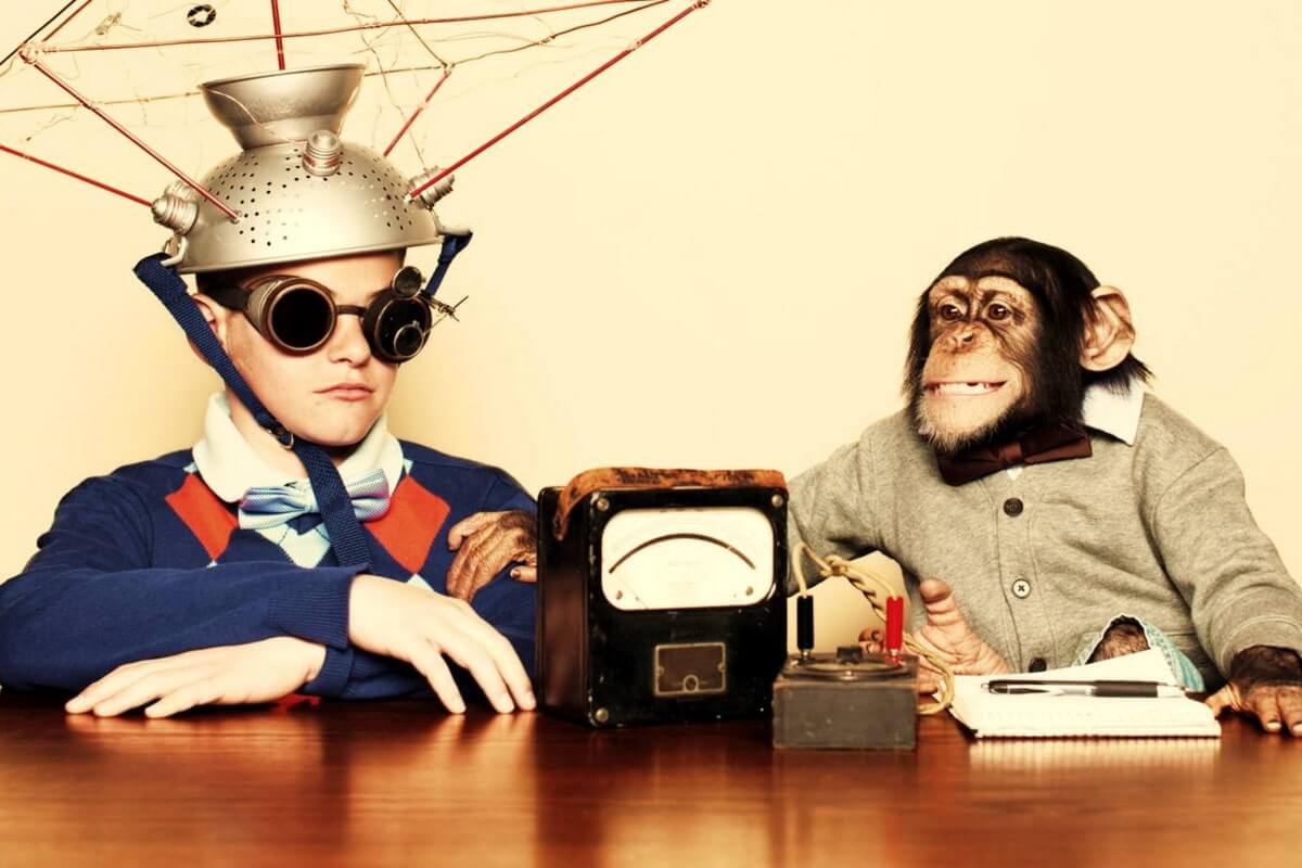 Фальсификация