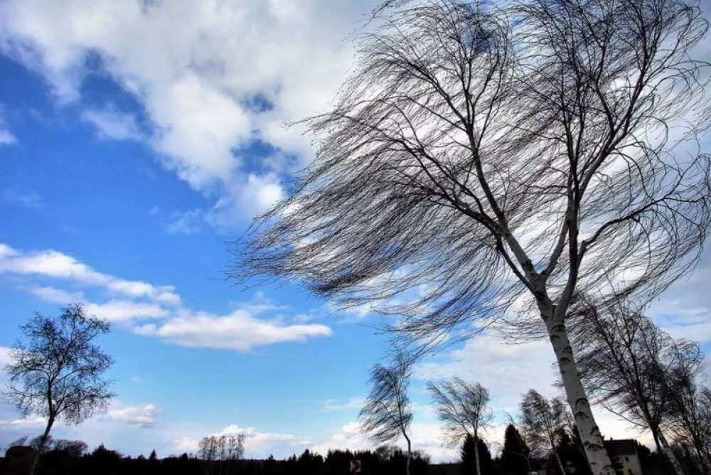 Правописание -Н- и -НН- в суффиксах -ОНН- и -ЕНН-