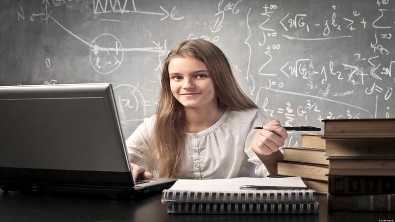 Эссе по математике