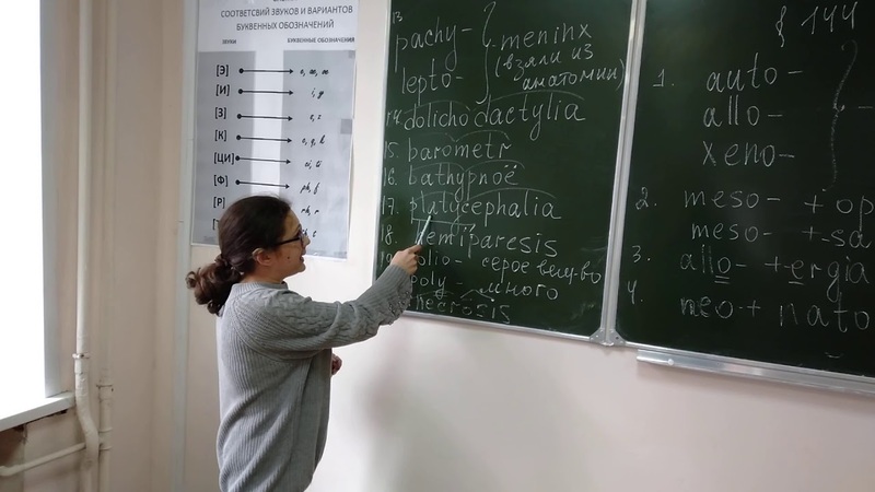 Как выучить латинский язык